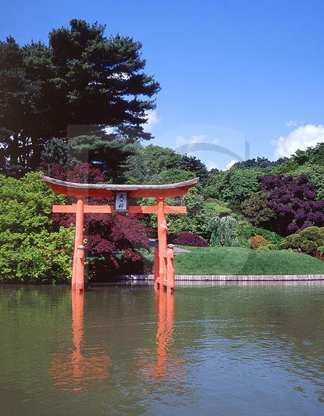 Brooklyn Botanic Garden, Japanese Hill-and-Pond Garden 1